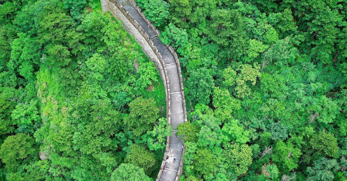 Pexels Photo 1653825