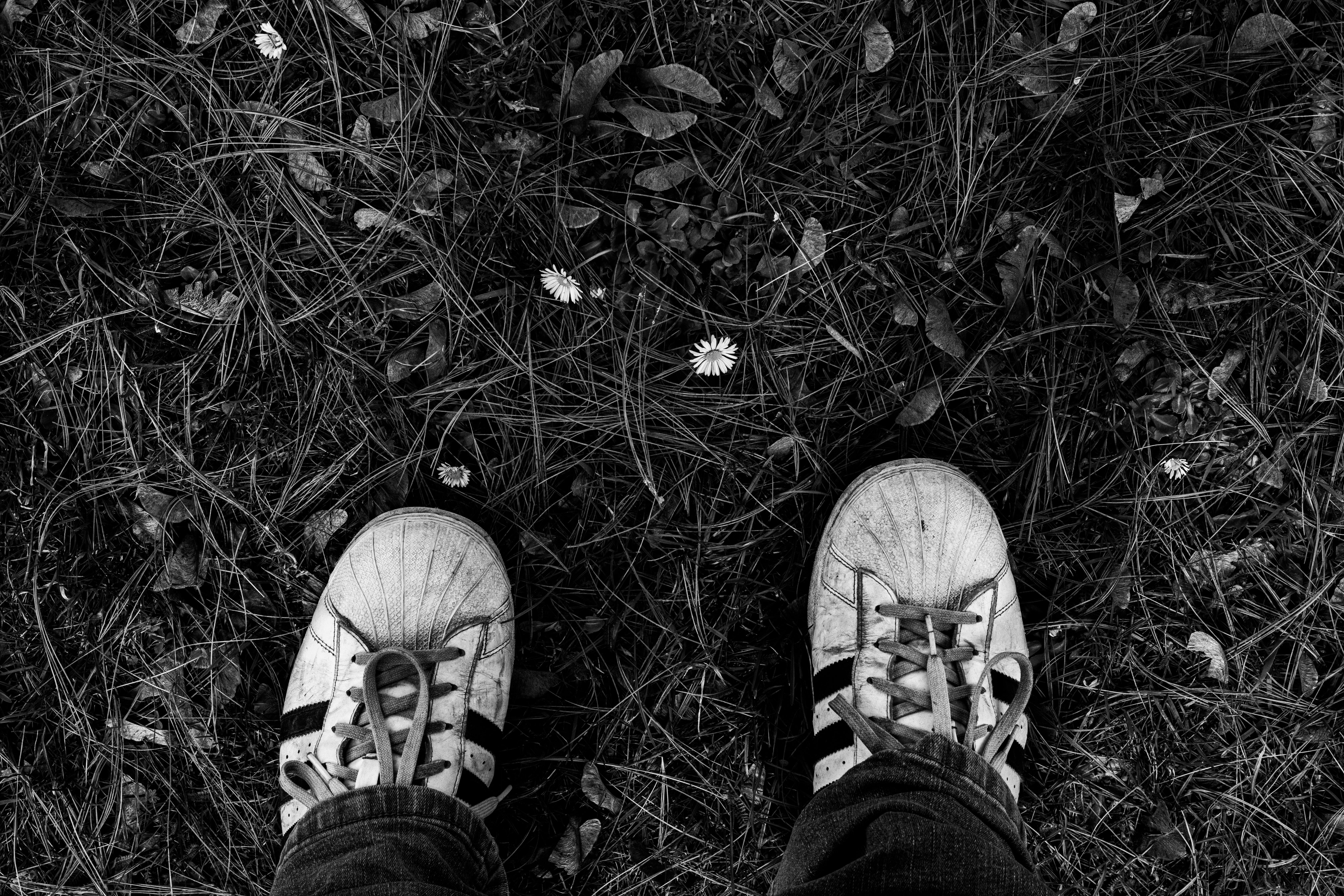 Shoes of Person Standing on Grass · Free Stock Photo