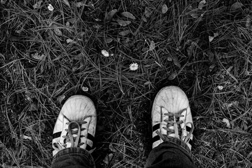 Free Shoes of Person Standing on Grass Stock Photo