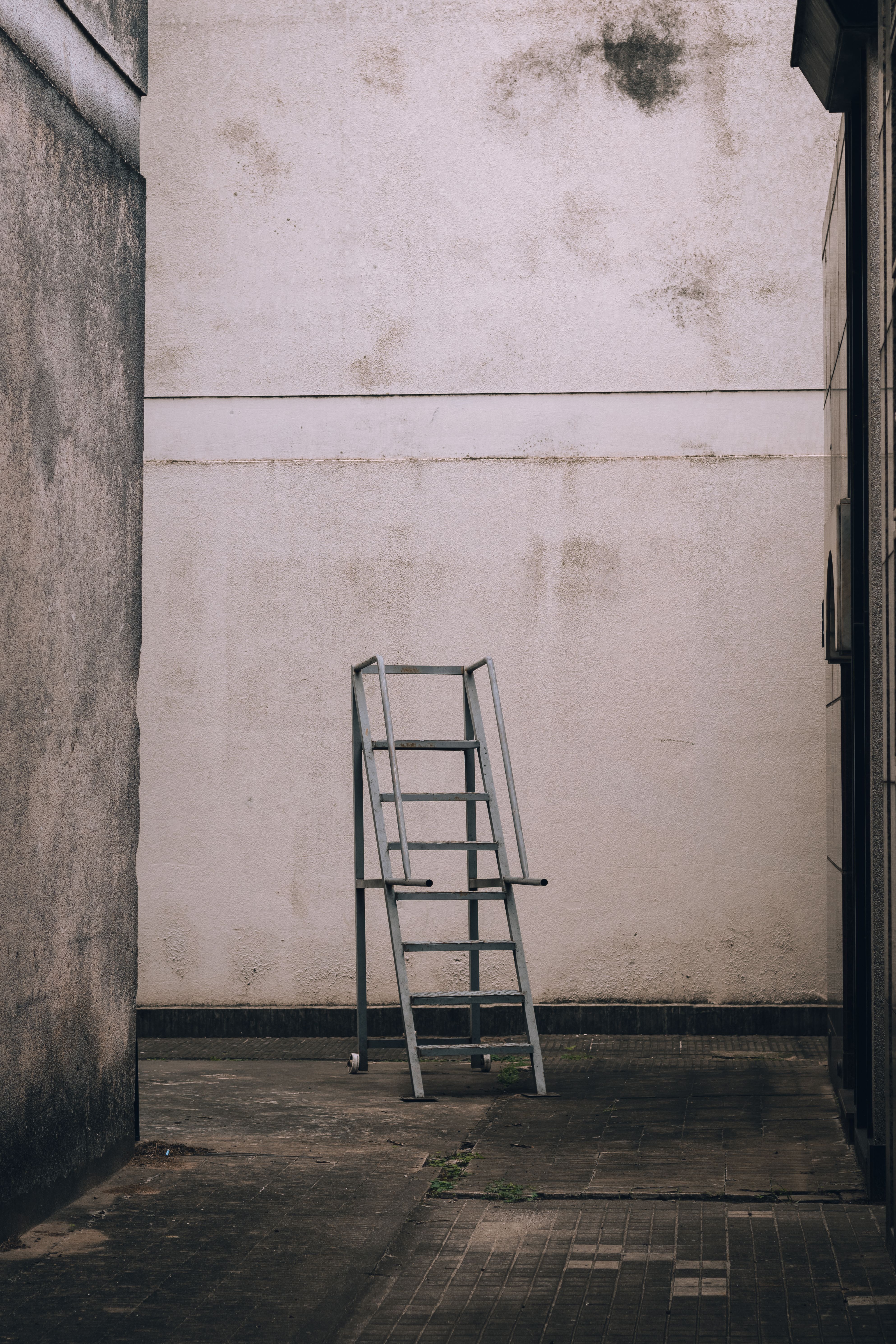 Ladder in an Empty Hall · Free Stock Photo