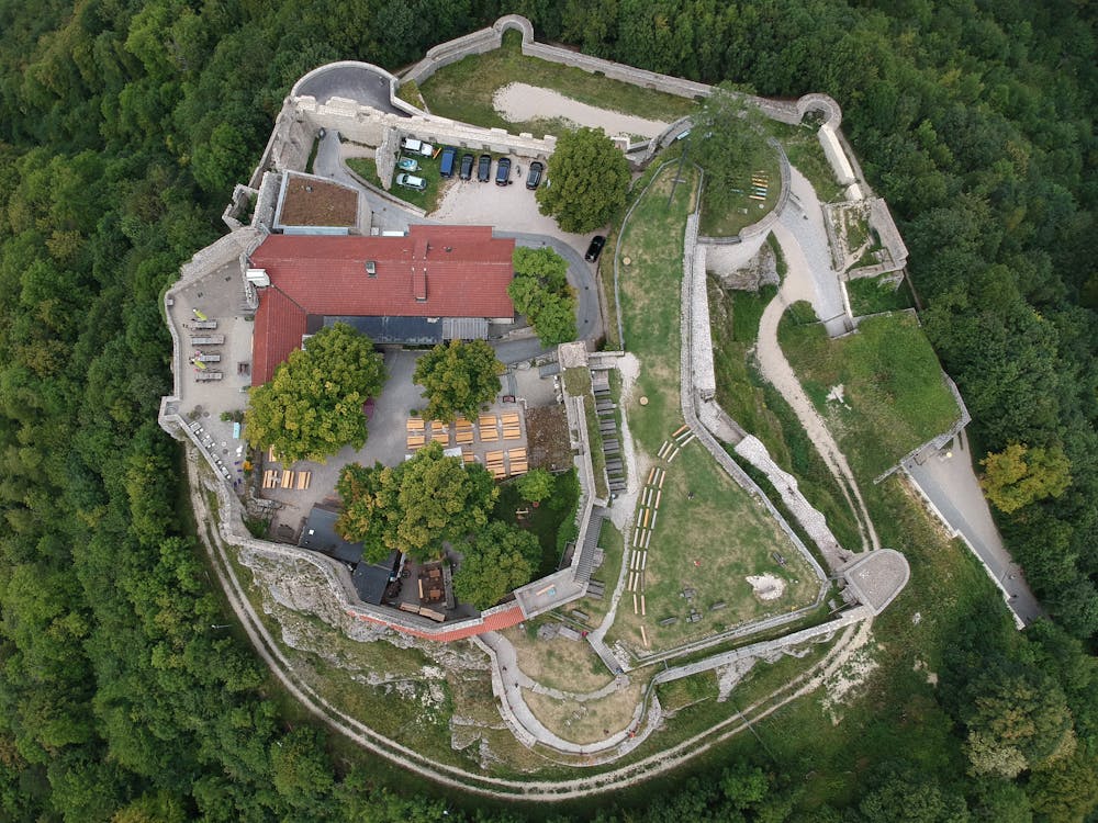 Aerial Photography of Castle Surrounded by Trees