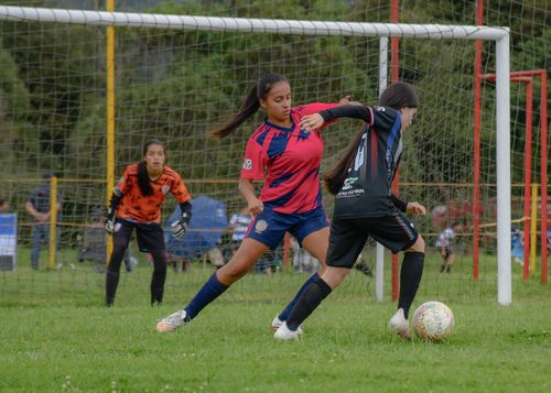 Free Two female soccer players compete intensely near the goal during an outdoor match. Stock Photo