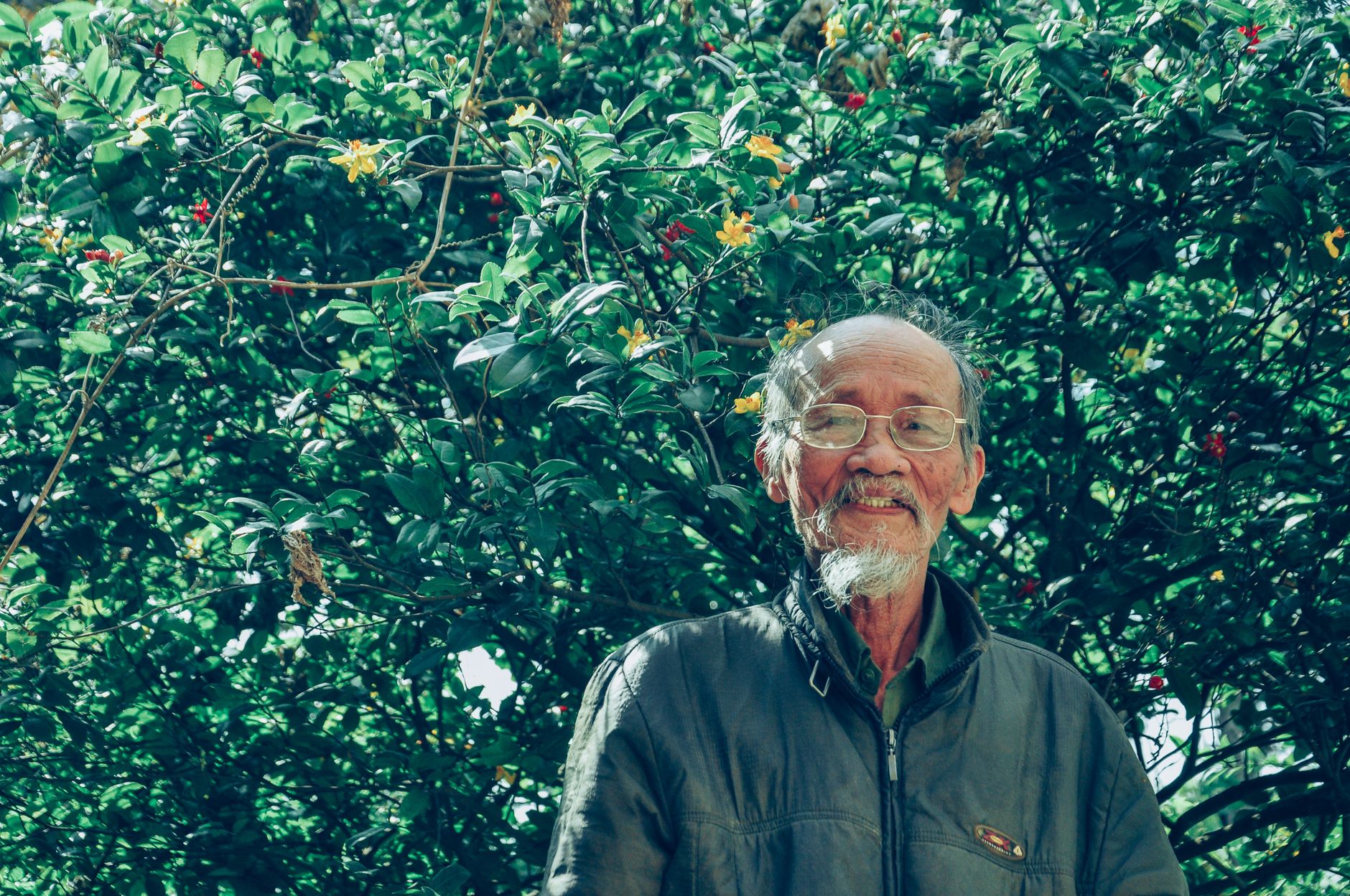Senior man wearing eyeglasses and smiling in a lush green garden during the day.