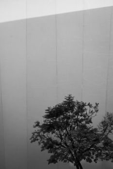 A solitary tree stands starkly against a large, simple building facade in black and white.