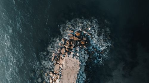 Free Drone capture of a rocky coastline with waves crashing, offering a vivid top view. Stock Photo