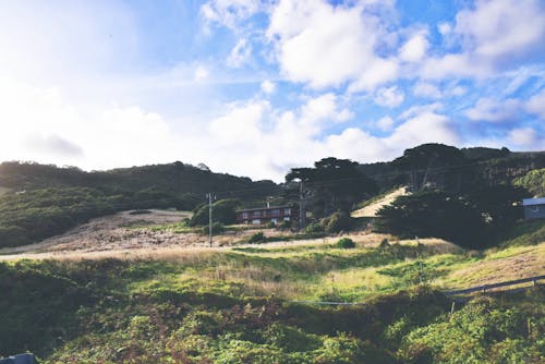 植物や山々に囲まれた茶色の建物