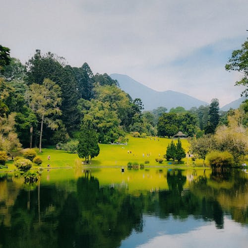 Foto profissional grátis de cenário, cenário bonito, cenário natural