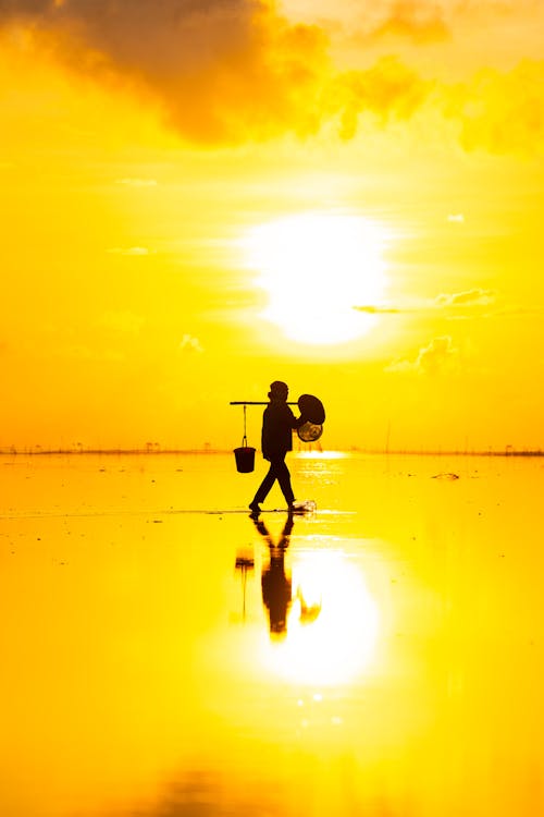 Person with Bucket on Beach at Golden Sunrise