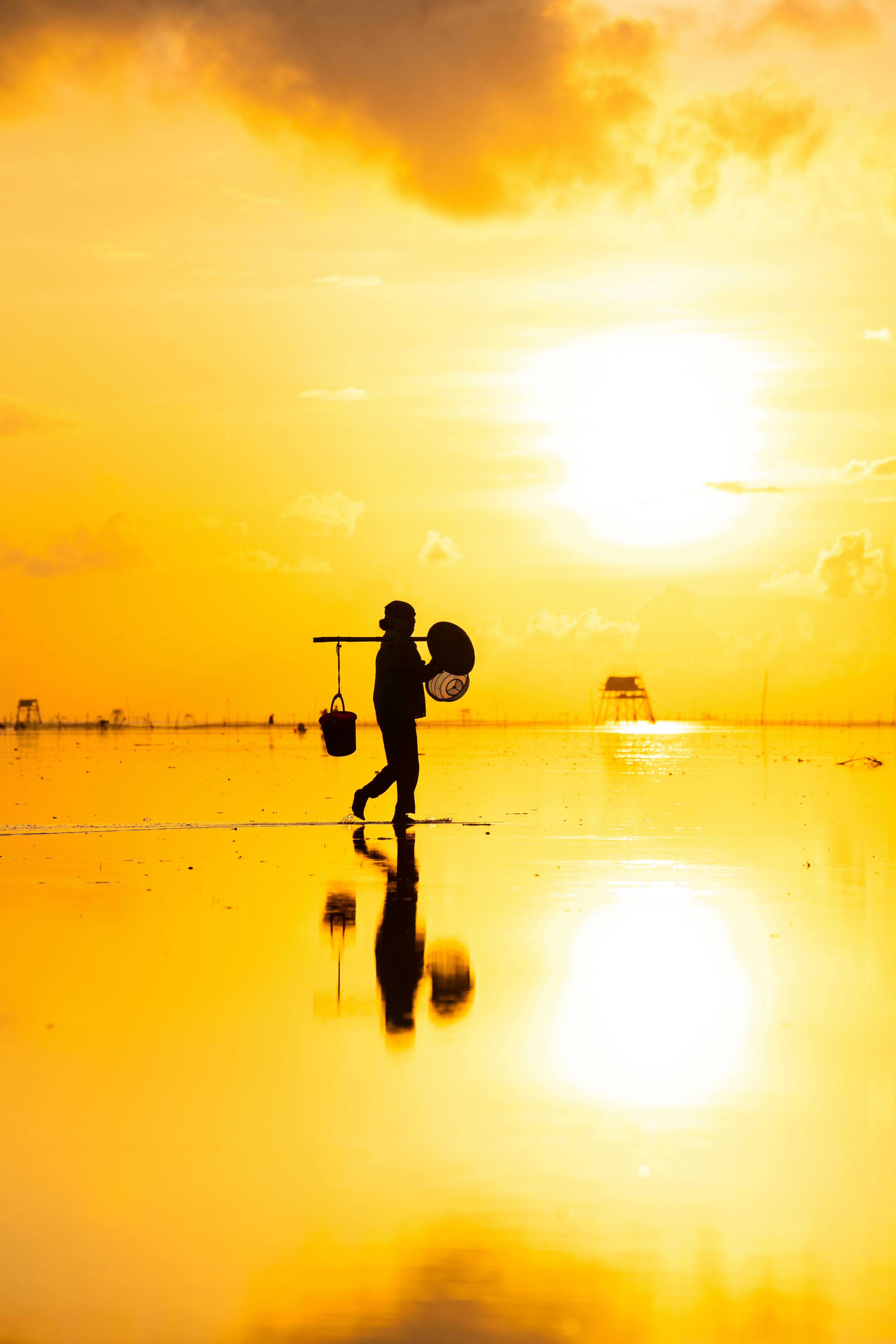Silhouette of a person walking with a basket during a golden sunrise in Thai Binh, Vietnam.