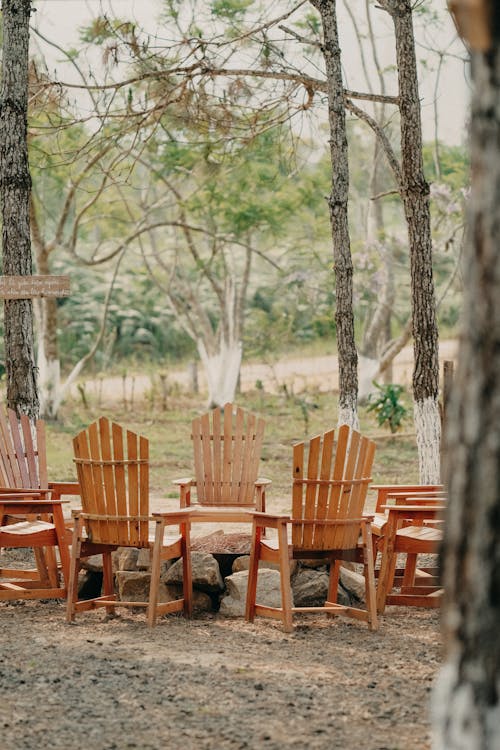 Foto d'estoc gratuïta de cadires de fusta, confort, iarda