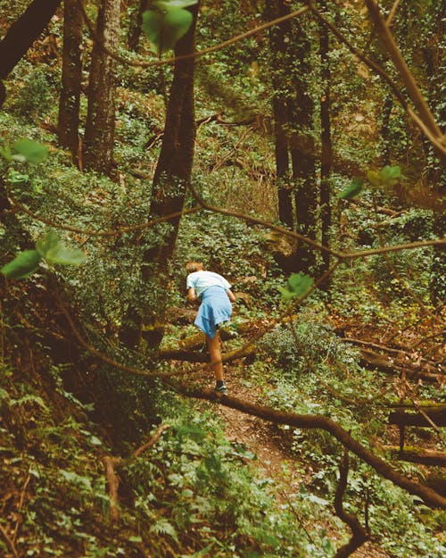 Person Hiking in Forest