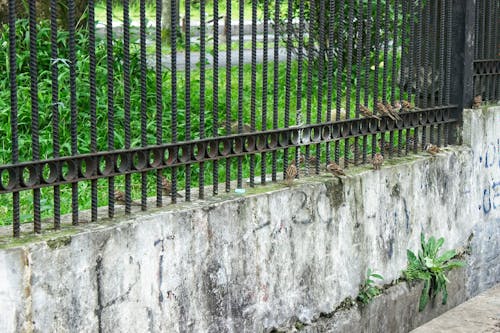 Základová fotografie zdarma na téma blok stěny, kamenná zeď, kovové stěny