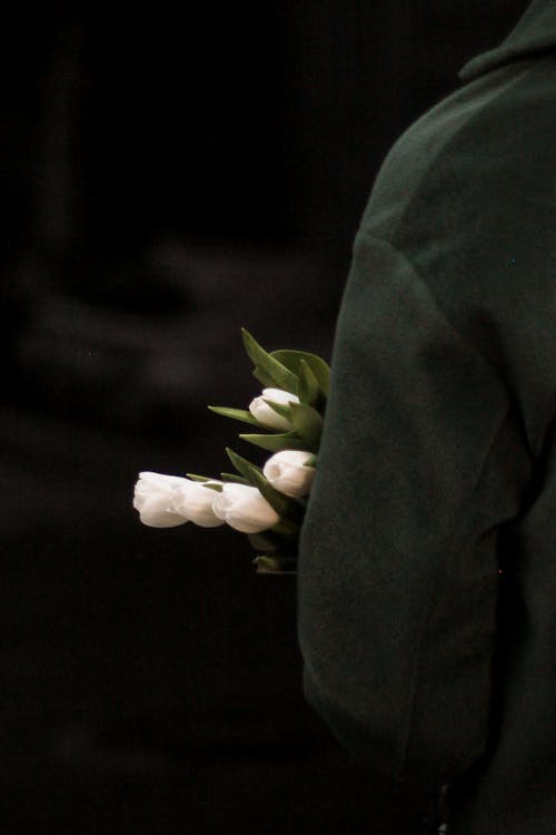 Person Holding White Tulips