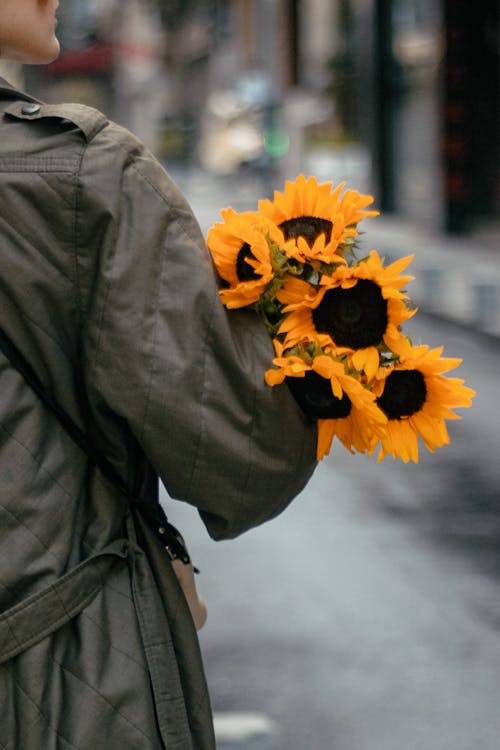 Armful of Sunflowers Held by a Woman in Coat