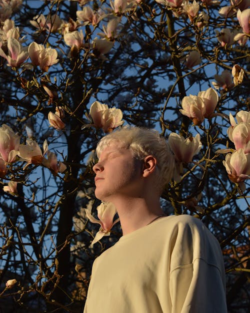 Free Woman under Blooming Magnolia Tree Stock Photo