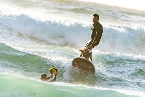 Free Surfer with his Surfer Dog Surfing Stock Photo