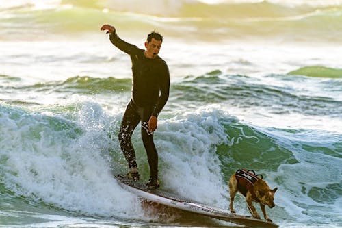 彼の犬と一緒にサーフィンする男