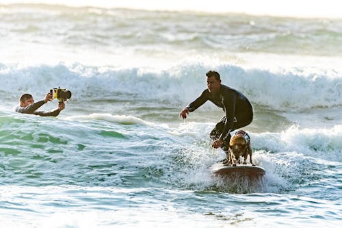 免费 冲浪者和他的冲浪狗一起冲浪 素材图片