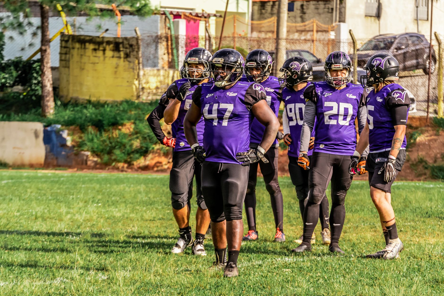 Group of American football players in purple uniforms on the field, ready for a match.