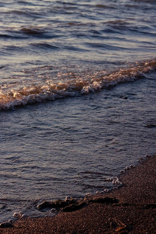 Безкоштовне стокове фото на тему «берег моря, вертикальні постріл, вечір»