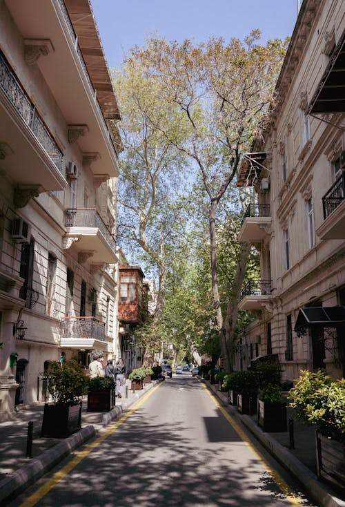 거리, 건물, 나무의 무료 스톡 사진