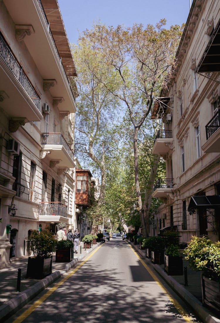 Empty, Sunlit Street In Town