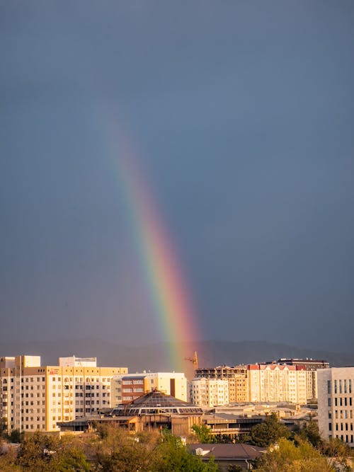 คลังภาพถ่ายฟรี ของ พื้นหลังสีรุ้ง, รุ้ง, หลังฝนตก