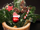 充满活力的圣诞节安排，以松果、串灯和节日小玩意儿为特色