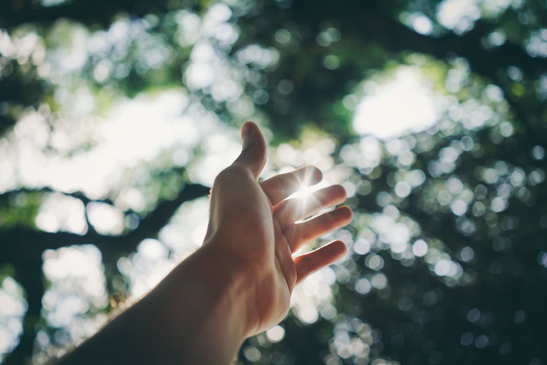 Selective Focus Photography Of Hand 