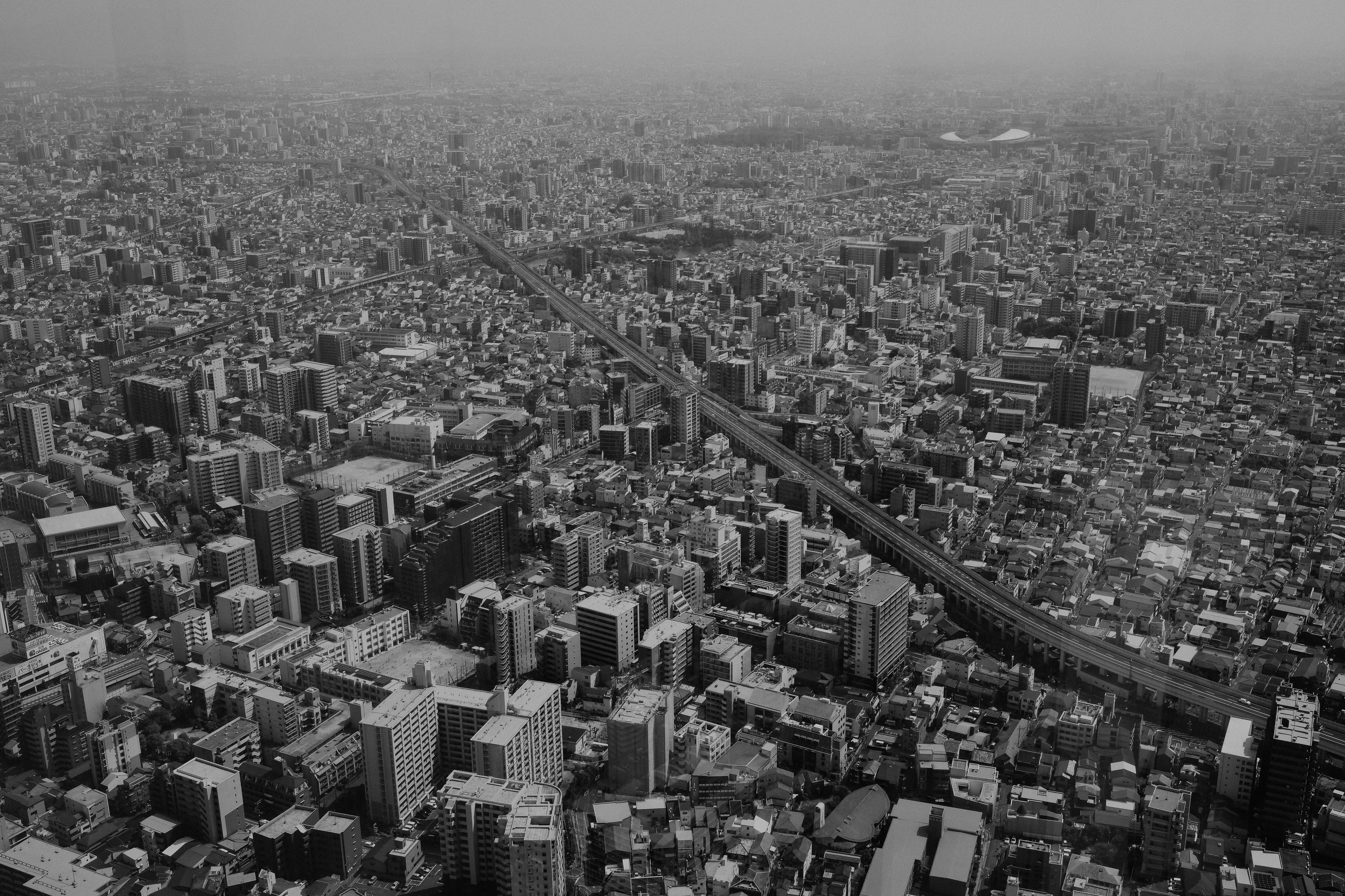 immigration lawyer tokyo — Photo by Ayyeee Ayyeee on Pexels