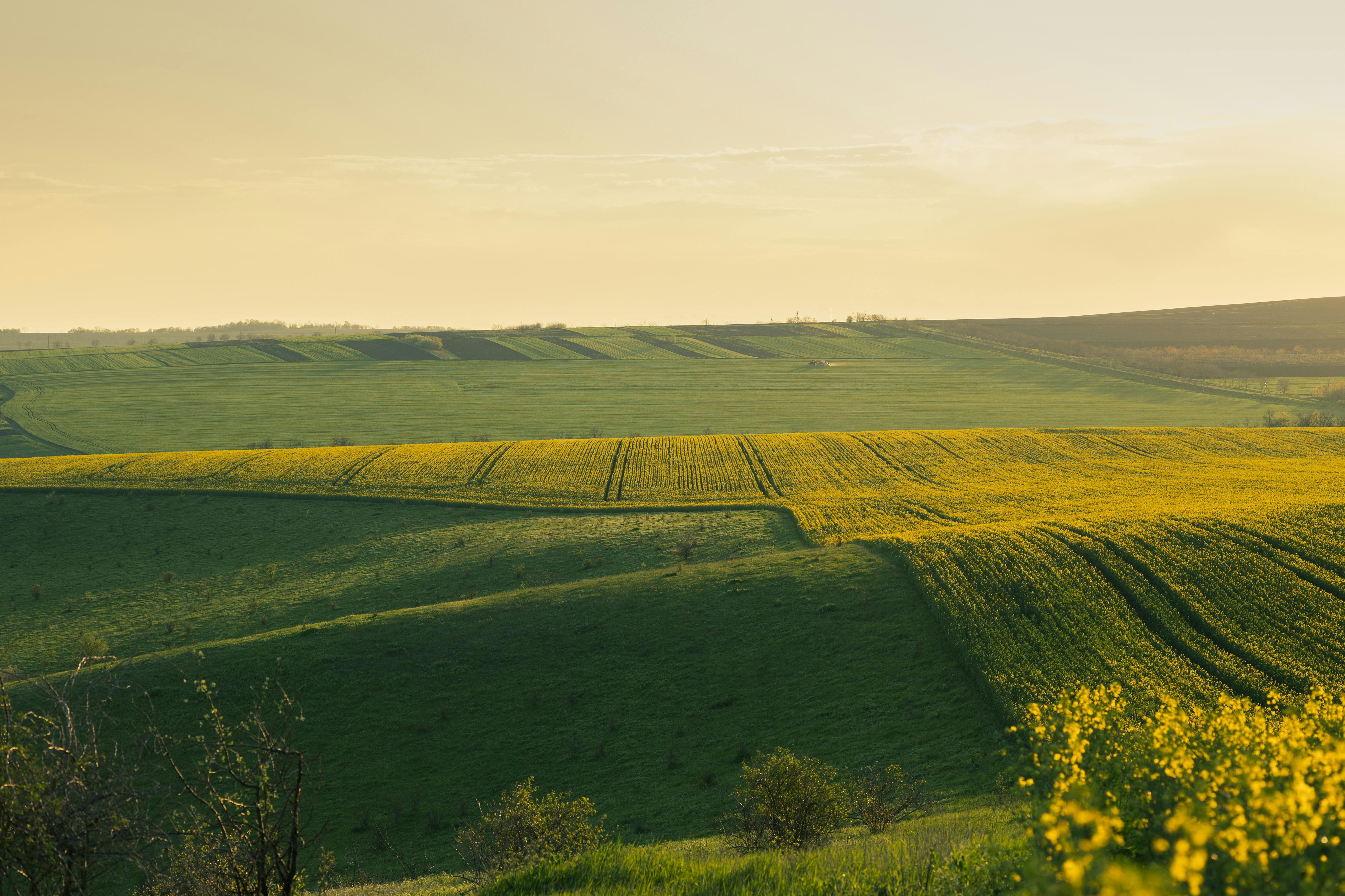 a magical landscape with the sunset