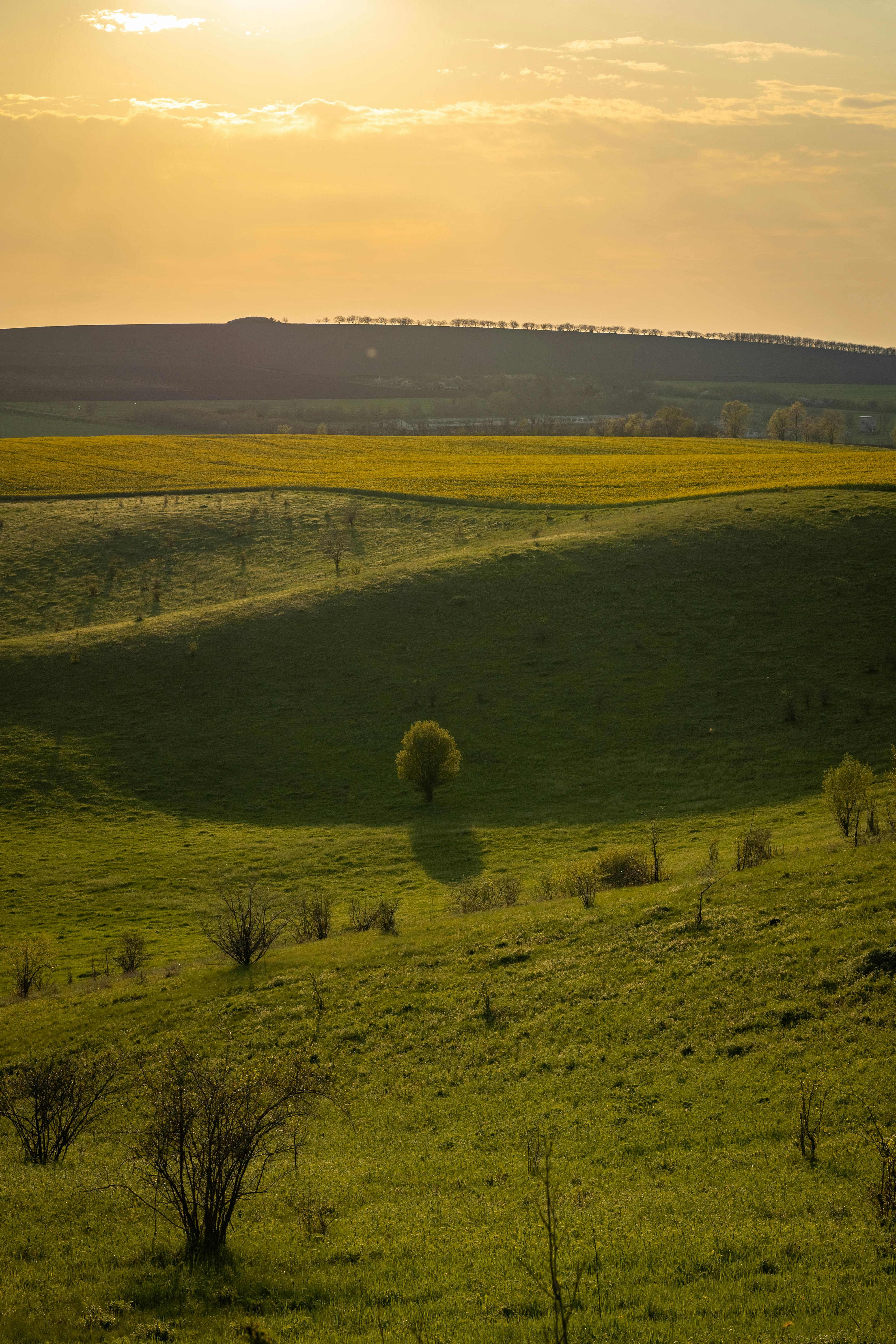 a magical landscape with the sunset