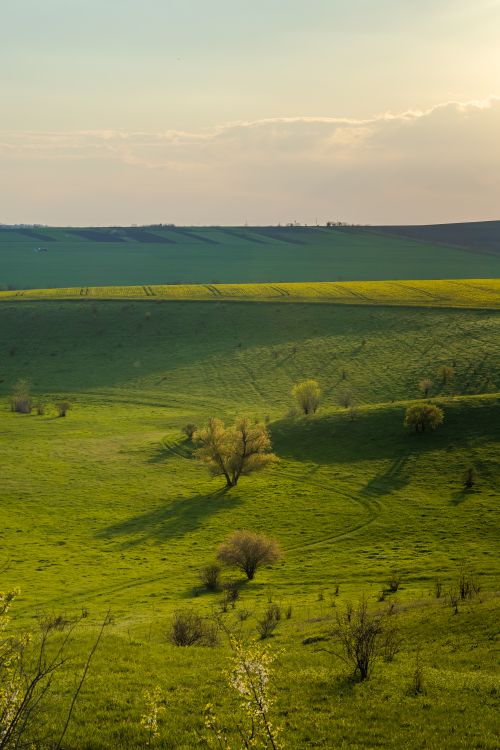 Free Peaceful countryside scene with rolling green hills and scattered trees under a serene evening sky. Stock Photo