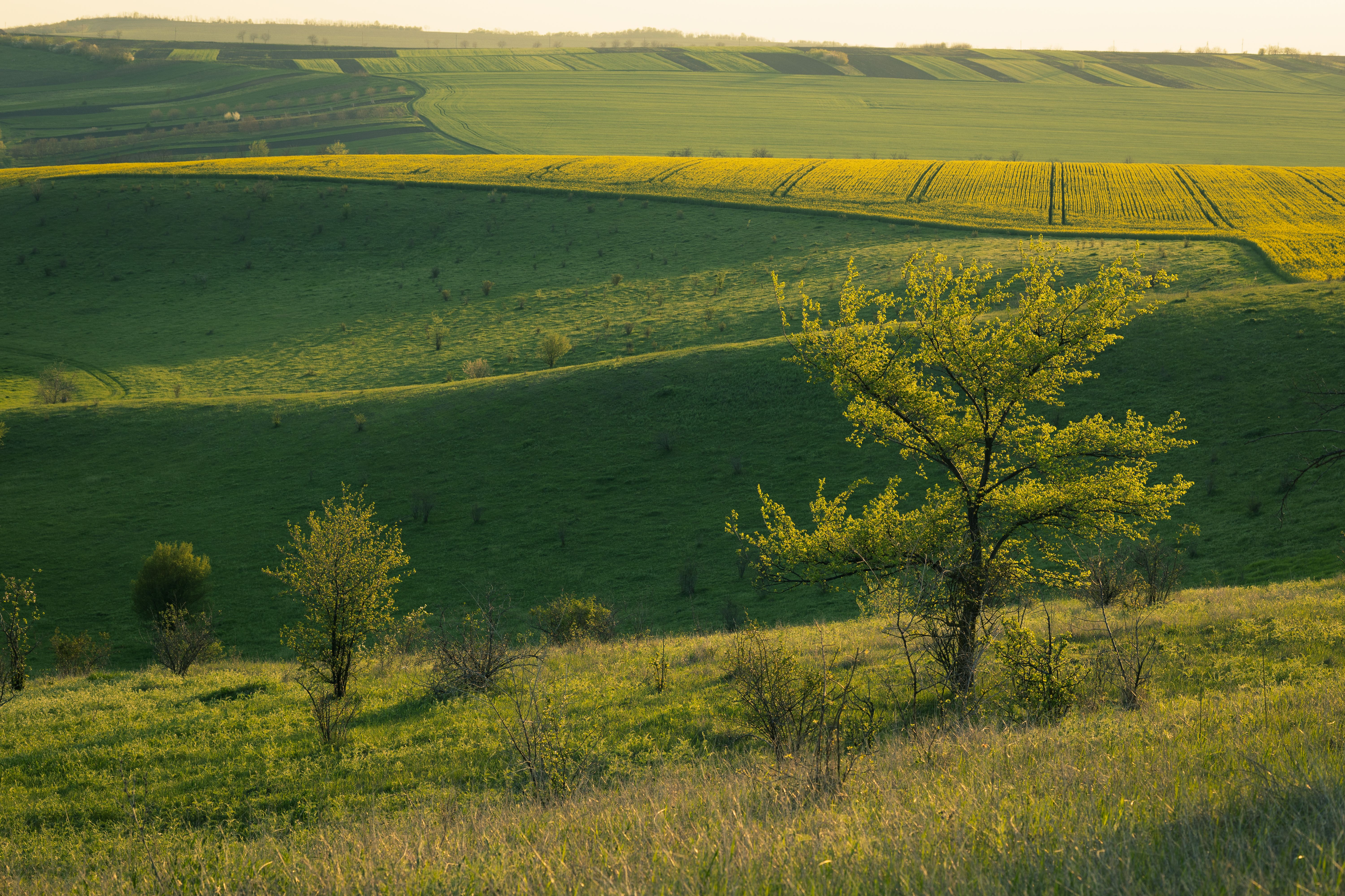 8 Day Fasting for Total Recharge in a Nature Reserve in Hungary 2