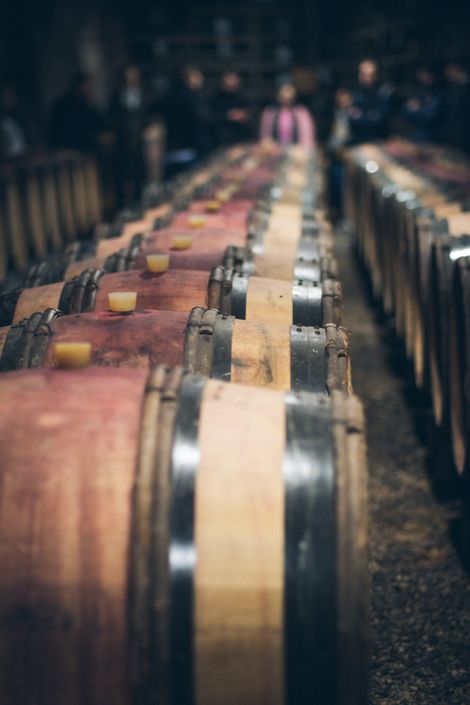 Aligned oak casks aging in a dim cellar — photo by Tim Durand on Pexels
