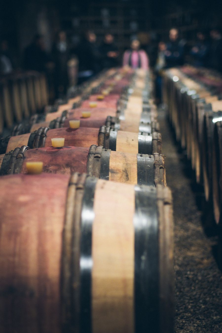 Oak wine barrels racked in a cellar — photo by Tim Durand on Pexels