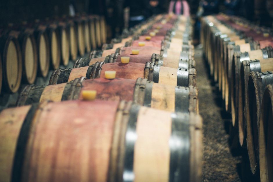 Rows of oak casks resting along a cellar aisle — photo by Tim Durand on Pexels