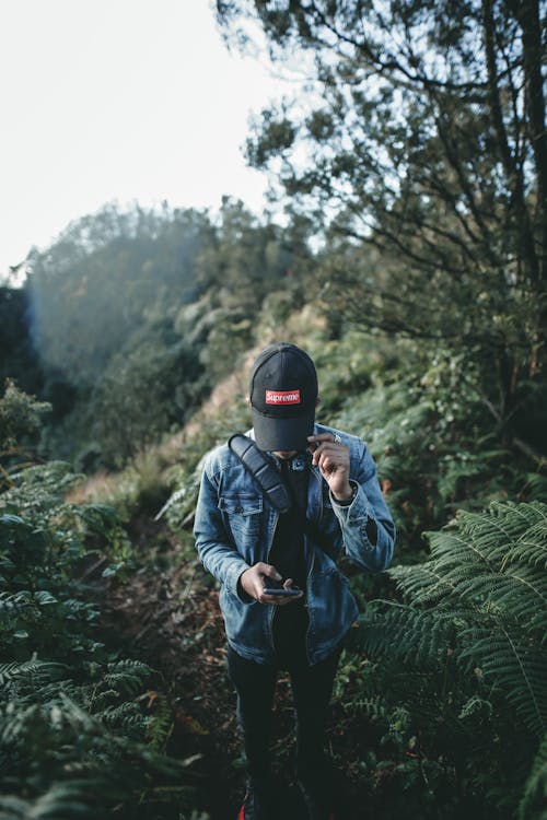 Hiker Using a Smartphone