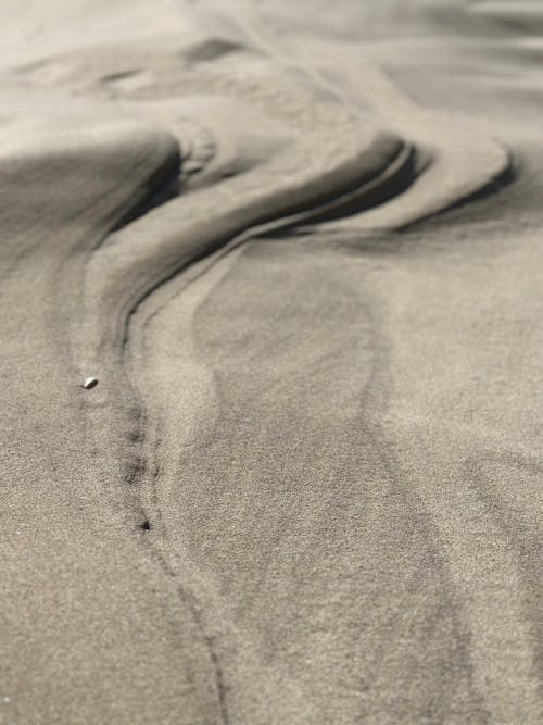 Kostnadsfri bild av öken, sand, sanddyn