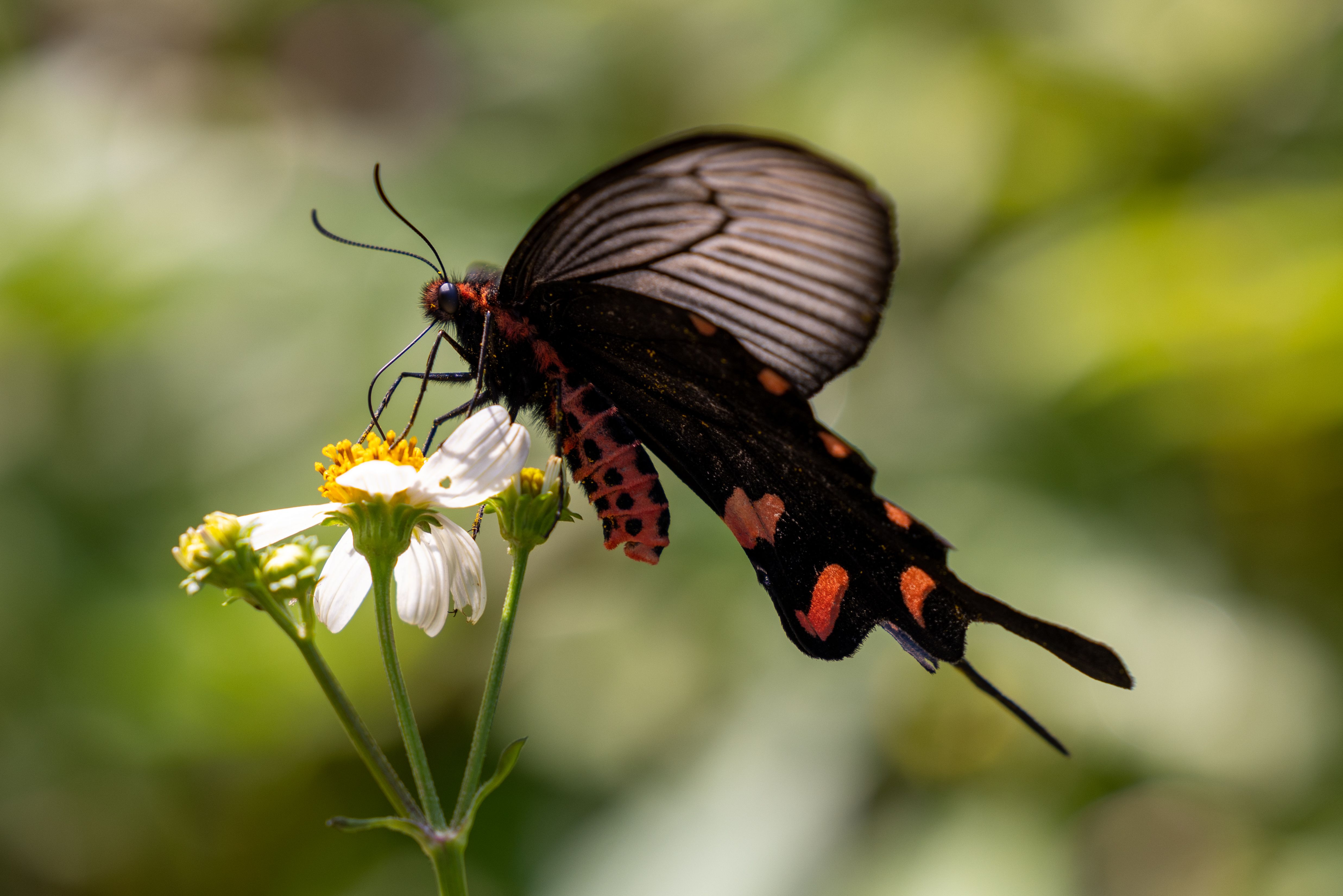 June 2023 Wallpaper Photos Download The BEST Free June 2023 Wallpaper June 2023 wallpaper photos download the best free june 2023 wallpaper