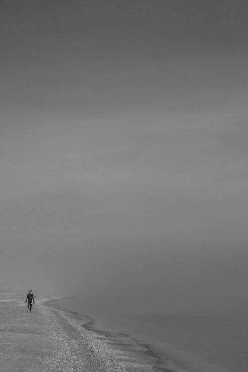 걷고 있는, 바다, 블랙 앤 화이트의 무료 스톡 사진