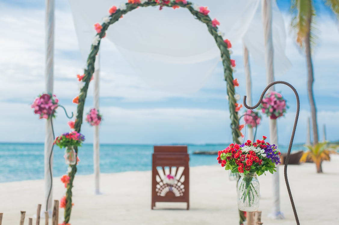 Pink and White Flowers on White Hanging Pot