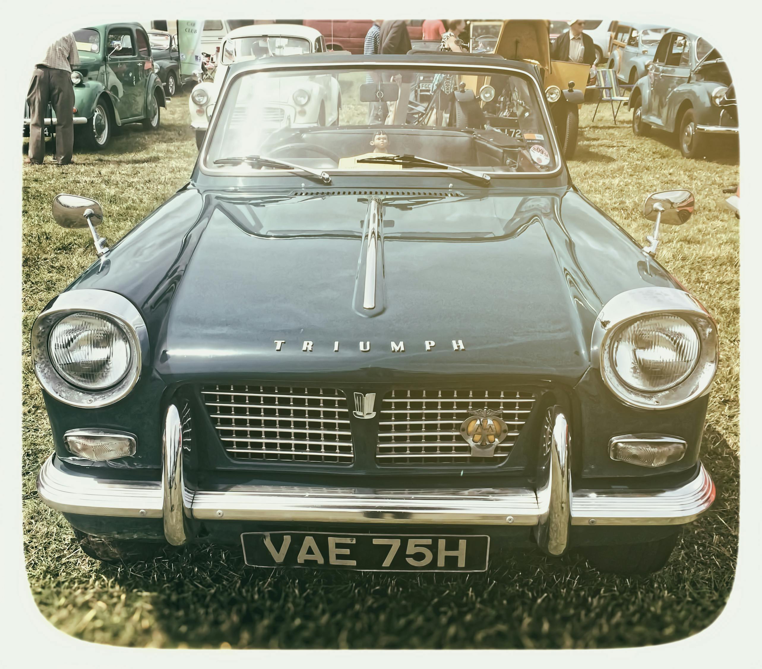 Free stock photo of show, triumph, vintage car