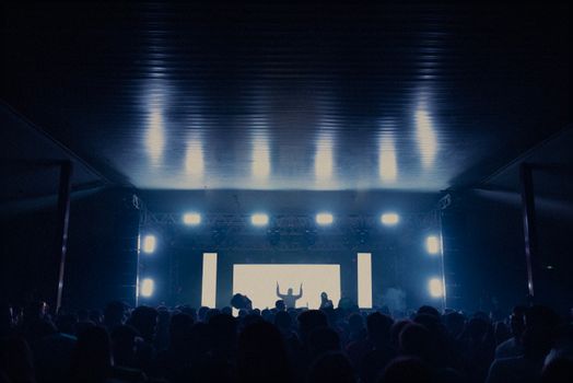 Energetic crowd at a live concert enjoying music and lights.