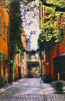 Explore a serene cobblestone alley in Stockholm's historic district, surrounded by architecture and greenery.