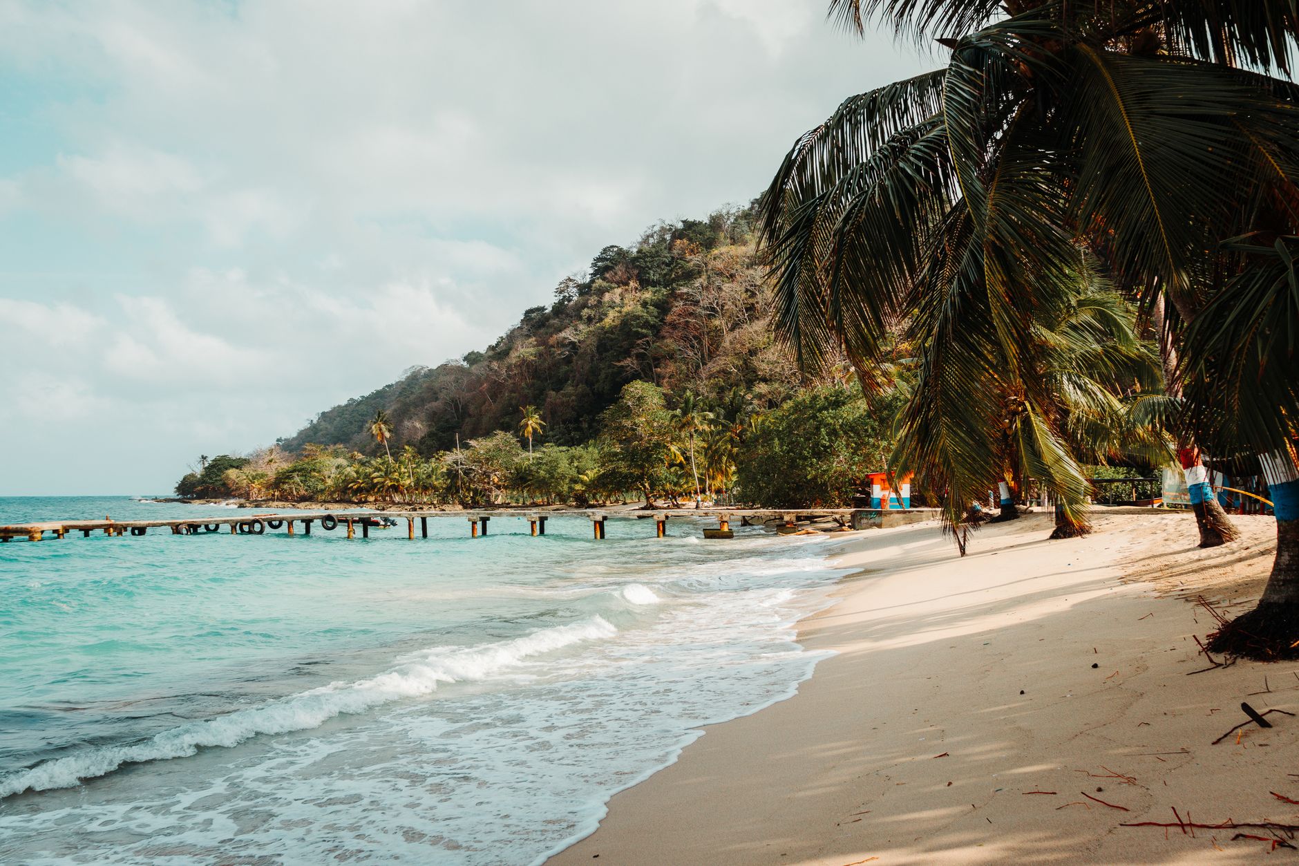 Tropical beach with palm trees, turquoise water, and a wooden pier, a relaxed Caribbean beach-day scene