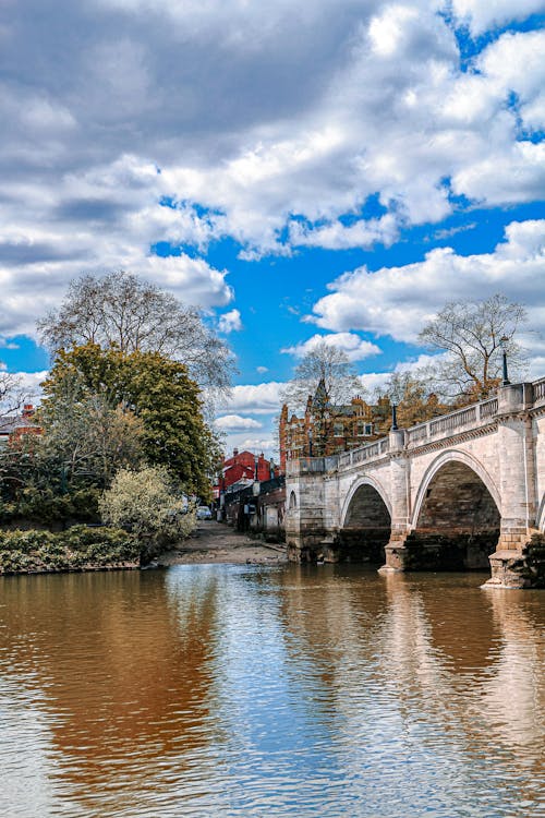 Δωρεάν στοκ φωτογραφιών με richmond, δέντρο, ποταμός Τάμεσης