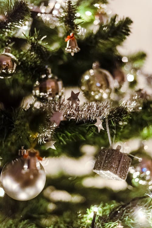 1000 Great Christmas Background Photos Pexels Free Stock Photos