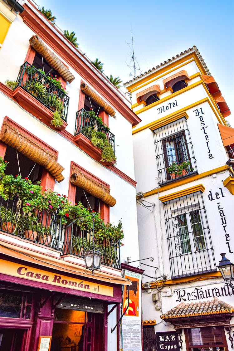 Hotel Building In Seville