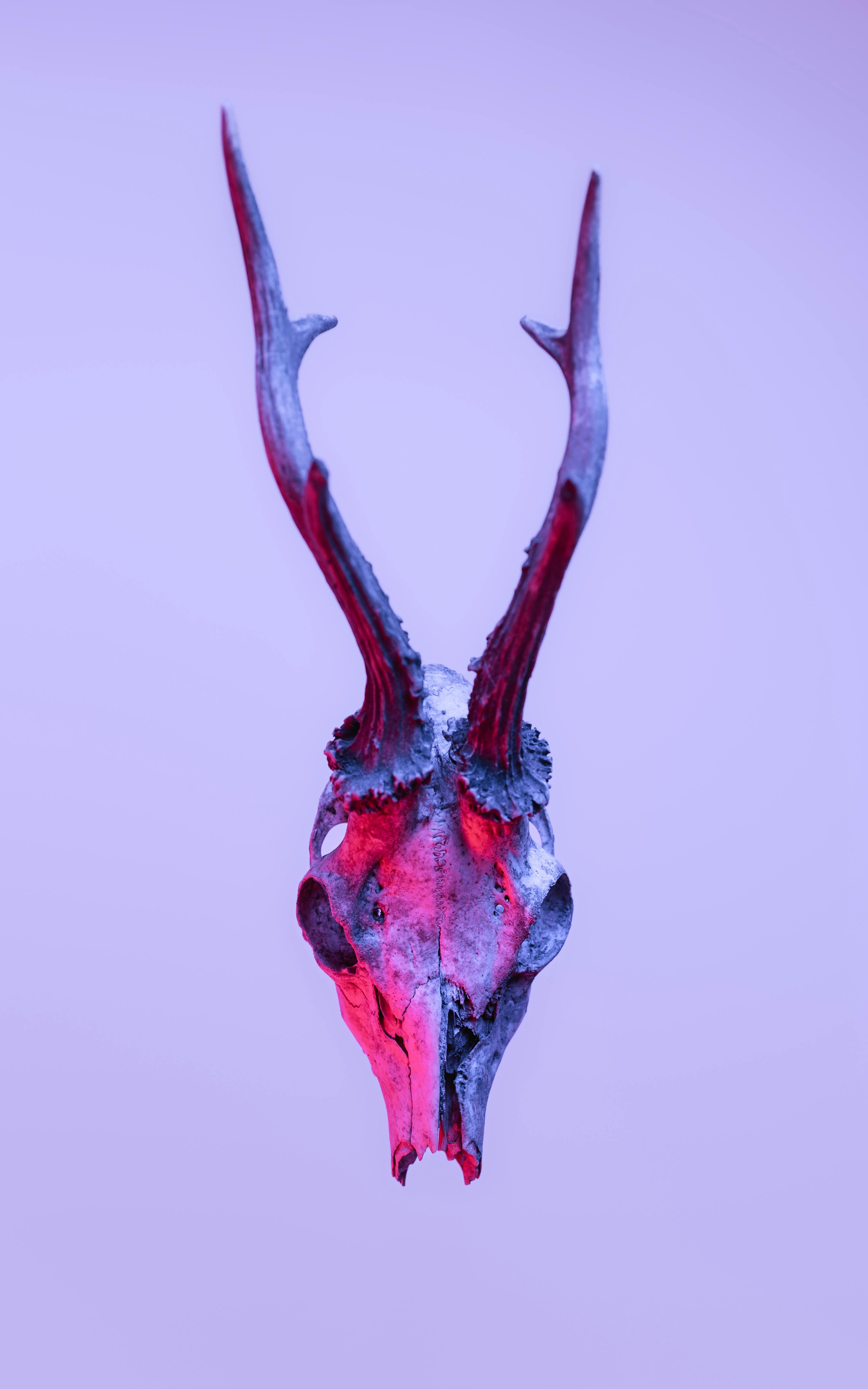 Kostnadsfria Kostnadsfri bild av abstrakt, abstrakt konst, anda Stock foto